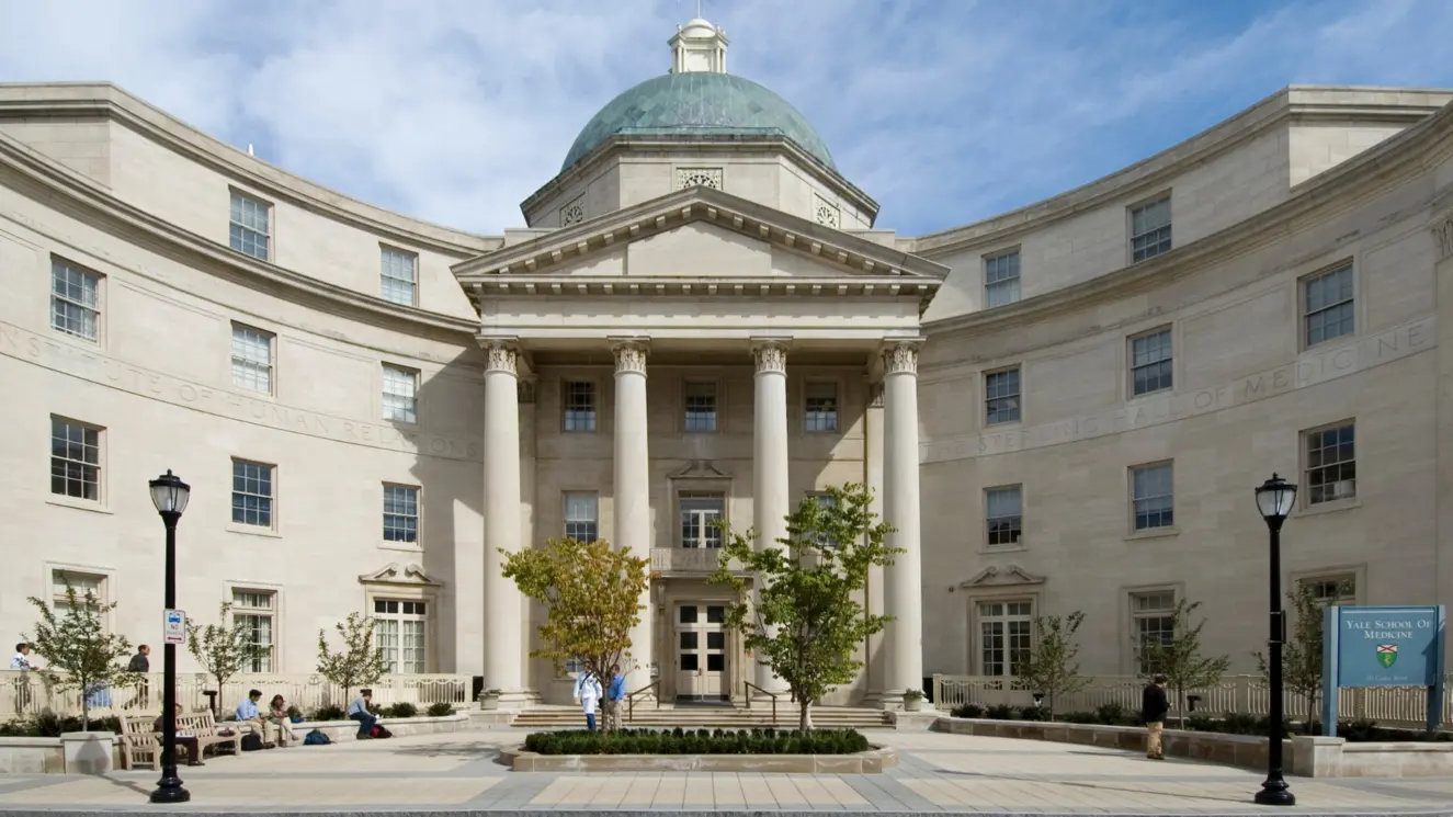 Highest Rated Medical Schools in the World 2025 Global Leaders in